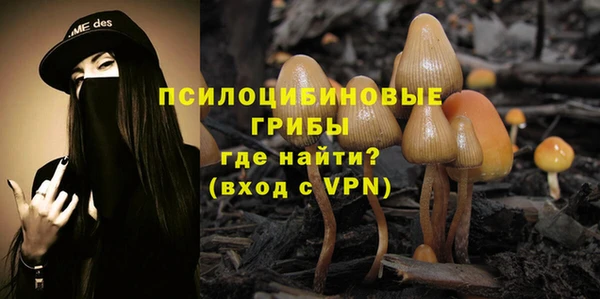круглые Краснослободск