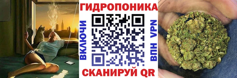 Купить где  Верхотурье  Конопля Bruce Banner 